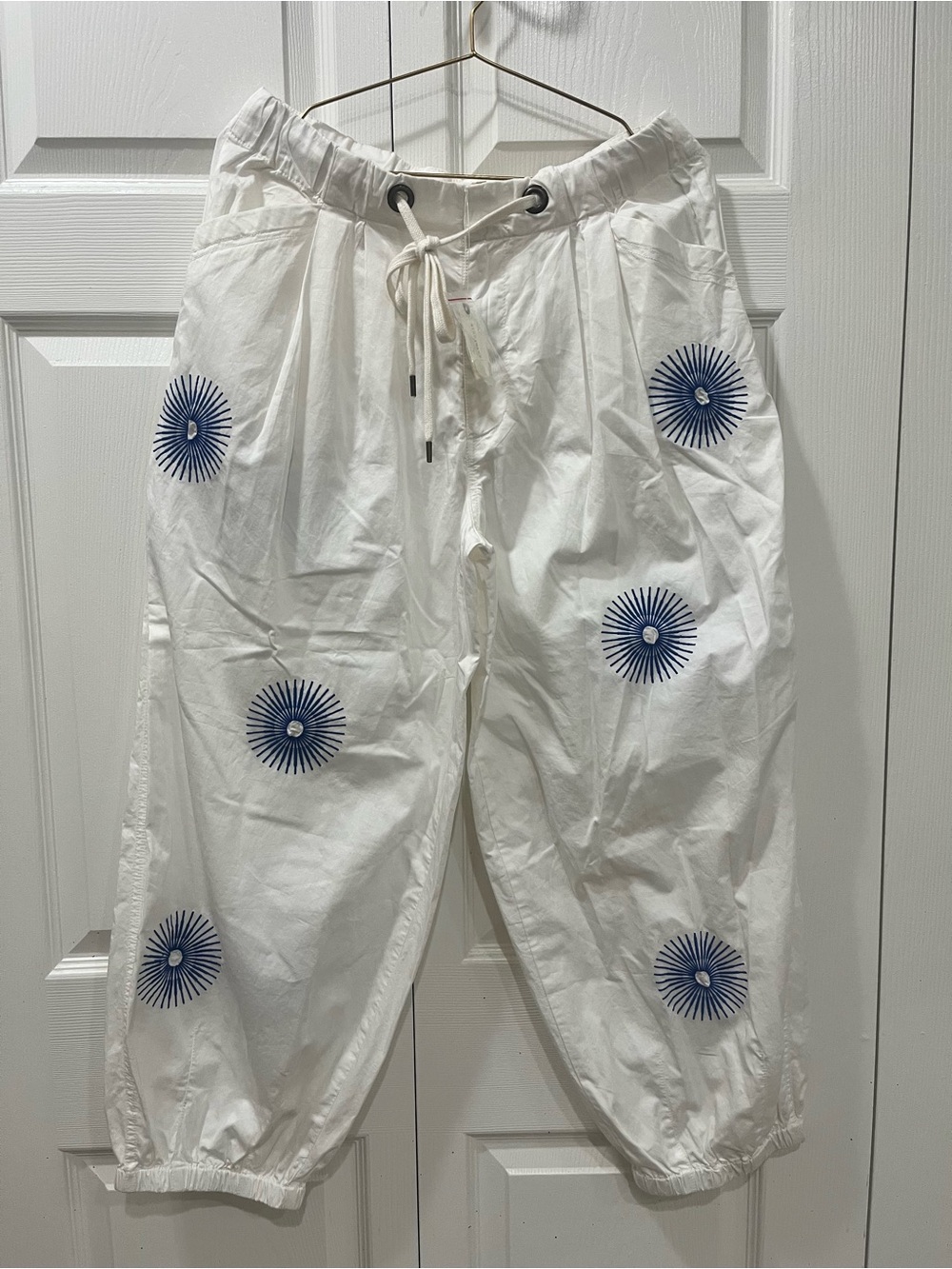 Anthropologie Pilcro “The Slacker” parachute pants size small.